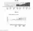Fig. 13 - METHODS AND COMPOSITIONS FOR ENHANCING GENE EDITING