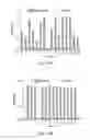 Fig. 12 - Scaffold proteins derived from plant cystatins