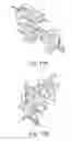 Fig. 18 - Scaffold proteins derived from plant cystatins