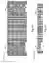 Fig. 24 - Scaffold proteins derived from plant cystatins