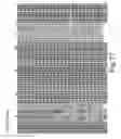 Fig. 26 - Scaffold proteins derived from plant cystatins