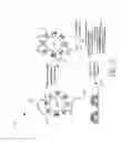 Fig. 03 - Tagmentation using immobilized transposomes with linkers