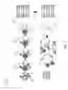 Fig. 04 - Tagmentation using immobilized transposomes with linkers