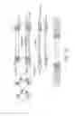 Fig. 06 - Tagmentation using immobilized transposomes with linkers