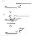 Fig. 04 - DNA DISPLAY AND METHODS THEREOF
