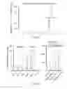 Fig. 07 - Comprehensive in vitro reporting of cleavage events by sequencing (CIRCLE-seq)