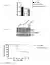 Fig. 05 - Methods and compositions to treat liver diseases and conditions