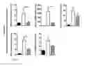 Fig. 09 - Methods and compositions to treat liver diseases and conditions