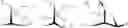 Fig. 03 - Polycomb-associated non-coding RNAs