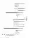 Fig. 11 - RNA INTERFERENCE MEDIATED INHIBITION OF GENE EXPRESSION USING CHEMICALLY MODIFIED SHORT INTERFERING NUCLEIC ACID (siNA)