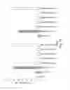 Fig. 14 - RNA INTERFERENCE MEDIATED INHIBITION OF GENE EXPRESSION USING CHEMICALLY MODIFIED SHORT INTERFERING NUCLEIC ACID (siNA)