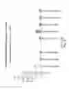 Fig. 38 - RNA INTERFERENCE MEDIATED INHIBITION OF GENE EXPRESSION USING CHEMICALLY MODIFIED SHORT INTERFERING NUCLEIC ACID (siNA)