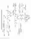 Fig. 72 - RNA INTERFERENCE MEDIATED INHIBITION OF GENE EXPRESSION USING CHEMICALLY MODIFIED SHORT INTERFERING NUCLEIC ACID (siNA)