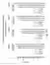 Fig. 78 - RNA INTERFERENCE MEDIATED INHIBITION OF GENE EXPRESSION USING CHEMICALLY MODIFIED SHORT INTERFERING NUCLEIC ACID (siNA)
