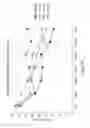 Fig. 82 - RNA INTERFERENCE MEDIATED INHIBITION OF GENE EXPRESSION USING CHEMICALLY MODIFIED SHORT INTERFERING NUCLEIC ACID (siNA)