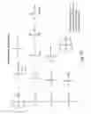 Fig. 85 - RNA INTERFERENCE MEDIATED INHIBITION OF GENE EXPRESSION USING CHEMICALLY MODIFIED SHORT INTERFERING NUCLEIC ACID (siNA)