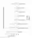 Fig. 93 - RNA INTERFERENCE MEDIATED INHIBITION OF GENE EXPRESSION USING CHEMICALLY MODIFIED SHORT INTERFERING NUCLEIC ACID (siNA)