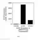 Fig. 05 - Transfection vector for pathogenic amoebae and uses thereof