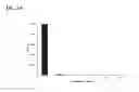 Fig. 05 - Eukaryotic cell-free protein expression system that does not require an artificial energy regeneration system