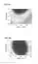 Fig. 09 - Eukaryotic cell-free protein expression system that does not require an artificial energy regeneration system