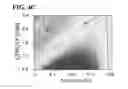 Fig. 10 - Eukaryotic cell-free protein expression system that does not require an artificial energy regeneration system