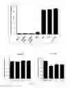 Fig. 10 - Antibody to human and mouse SEMA3A and use thereof