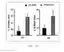 Fig. 26 - Antibody to human and mouse SEMA3A and use thereof