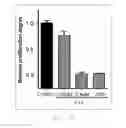 Fig. 27 - Antibody to human and mouse SEMA3A and use thereof