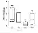 Fig. 29 - Antibody to human and mouse SEMA3A and use thereof