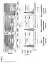 Fig. 02 - Intracellular delivery of biomolecules to cells comprising a cell wall