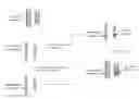 Fig. 01 - Haploid inducer line for accelerated genome editing