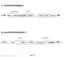 Fig. 09 - Method of improving chloroplast function and increasing seed yield