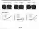 Fig. 20 - Method of improving chloroplast function and increasing seed yield