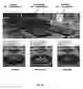 Fig. 21 - Method of improving chloroplast function and increasing seed yield