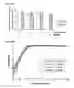Fig. 112 - METHODS AND COMPOSITIONS FOR RNA-DIRECTED TARGET DNA MODIFICATION AND FOR RNA-DIRECTED MODULATION OF TRANSCRIPTION