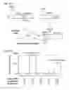 Fig. 124 - METHODS AND COMPOSITIONS FOR RNA-DIRECTED TARGET DNA MODIFICATION AND FOR RNA-DIRECTED MODULATION OF TRANSCRIPTION