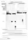 Fig. 28 - METHODS AND COMPOSITIONS FOR RNA-DIRECTED TARGET DNA MODIFICATION AND FOR RNA-DIRECTED MODULATION OF TRANSCRIPTION