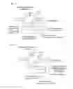 Fig. 02 - METHODS AND COMPOSITIONS FOR RNA-DIRECTED TARGET DNA MODIFICATION AND FOR RNA-DIRECTED MODULATION OF TRANSCRIPTION