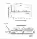 Fig. 101 - METHODS AND COMPOSITIONS FOR RNA-DIRECTED TARGET DNA MODIFICATION AND FOR RNA-DIRECTED MODULATION OF TRANSCRIPTION