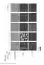 Fig. 103 - METHODS AND COMPOSITIONS FOR RNA-DIRECTED TARGET DNA MODIFICATION AND FOR RNA-DIRECTED MODULATION OF TRANSCRIPTION