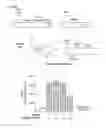 Fig. 109 - METHODS AND COMPOSITIONS FOR RNA-DIRECTED TARGET DNA MODIFICATION AND FOR RNA-DIRECTED MODULATION OF TRANSCRIPTION