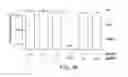Fig. 113 - METHODS AND COMPOSITIONS FOR RNA-DIRECTED TARGET DNA MODIFICATION AND FOR RNA-DIRECTED MODULATION OF TRANSCRIPTION