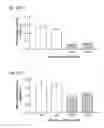 Fig. 117 - METHODS AND COMPOSITIONS FOR RNA-DIRECTED TARGET DNA MODIFICATION AND FOR RNA-DIRECTED MODULATION OF TRANSCRIPTION