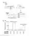 Fig. 124 - METHODS AND COMPOSITIONS FOR RNA-DIRECTED TARGET DNA MODIFICATION AND FOR RNA-DIRECTED MODULATION OF TRANSCRIPTION