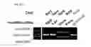 Fig. 129 - METHODS AND COMPOSITIONS FOR RNA-DIRECTED TARGET DNA MODIFICATION AND FOR RNA-DIRECTED MODULATION OF TRANSCRIPTION