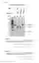 Fig. 22 - METHODS AND COMPOSITIONS FOR RNA-DIRECTED TARGET DNA MODIFICATION AND FOR RNA-DIRECTED MODULATION OF TRANSCRIPTION