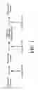 Fig. 02 - COMPOSITIONS AND METHODS FOR NUCLEIC ACID ASSEMBLY