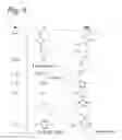 Fig. 05 - Process for the modification of a glycoprotein using a glycosyltransferase that is or is derived from a β(1,4)-n-acetylgalactosaminyltransferase