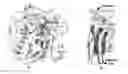 Fig. 01 - ELECTROCHEMICAL BIOSENSOR