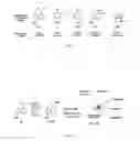 Fig. 02 - Composition and methods for detecting adenosine modifications